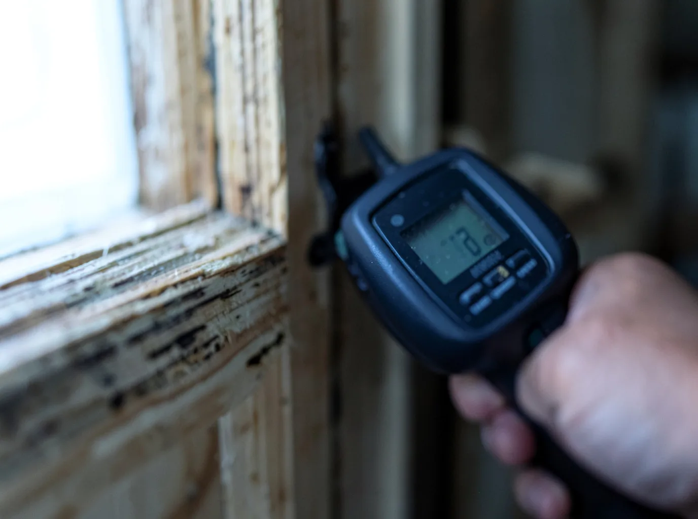 Moisture Inspection And Documentation in Escanaba, MI
